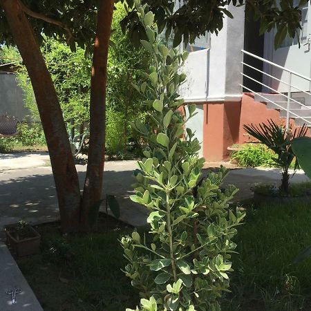 Green House ティビリシ エクステリア 写真