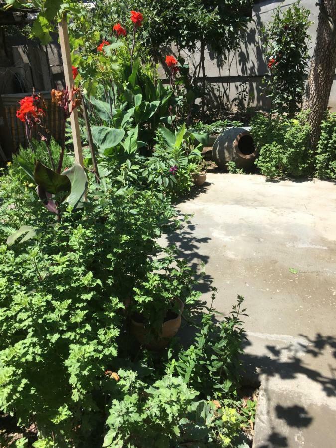 Green House ティビリシ エクステリア 写真